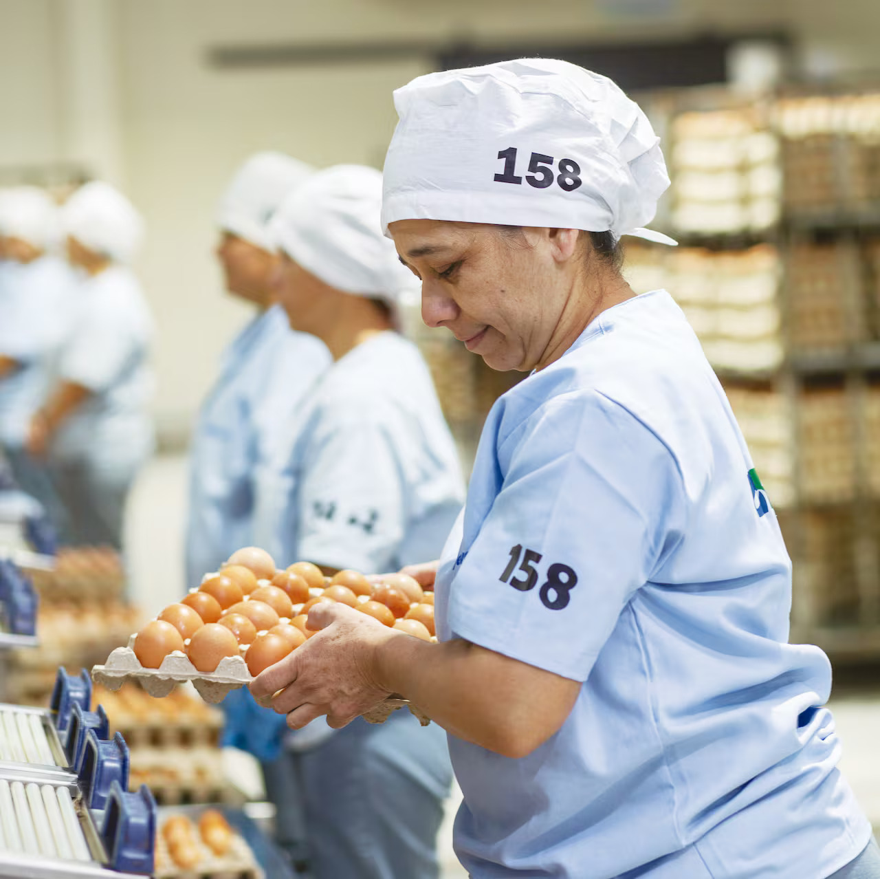 Nutrihuevos: el huevo, una de las principales proteínas