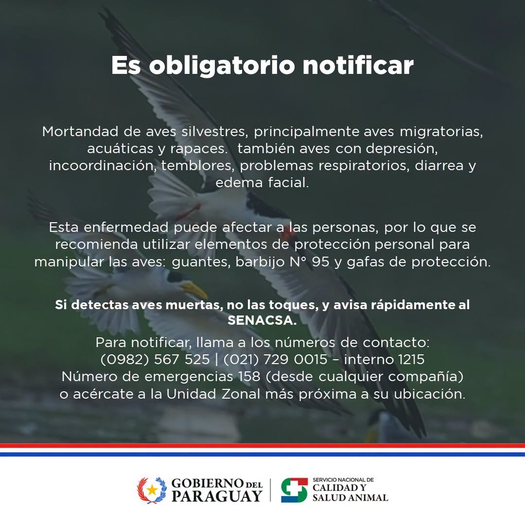 SENACASA EN ALERTA BROTE DE GRIPE AVIAR EN URUGUAY