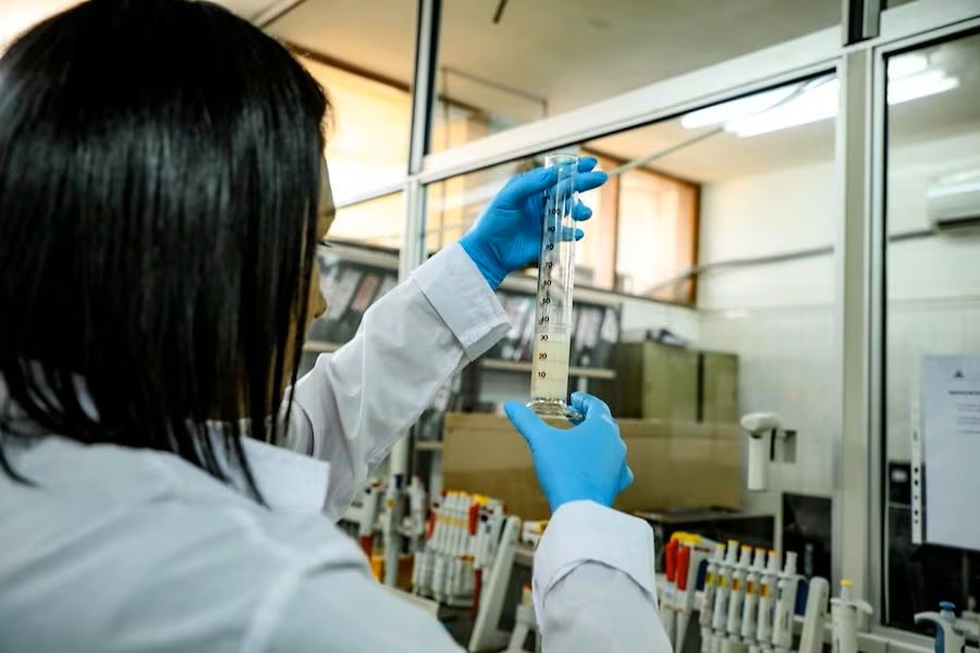 Avipar recomienda reforzar bioseguridad por brote de influenza aviar en Brasil