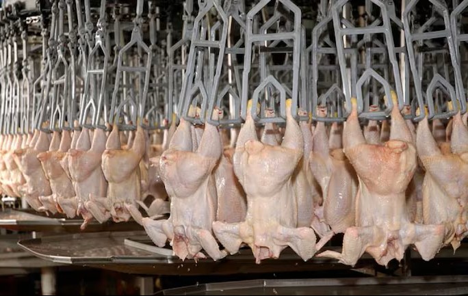 Paraguay enviara primera caraga de carne aviar a Filipinas